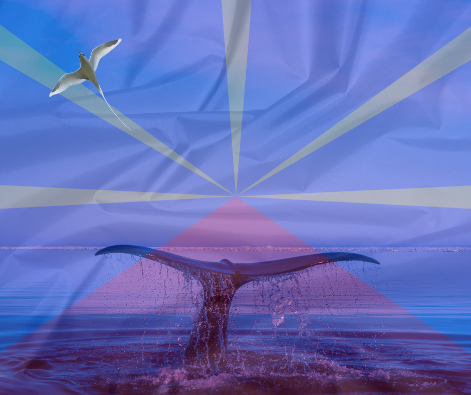 Image de couverture de la fiche